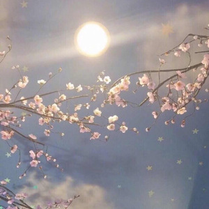 魅魔丝袜脚含精
